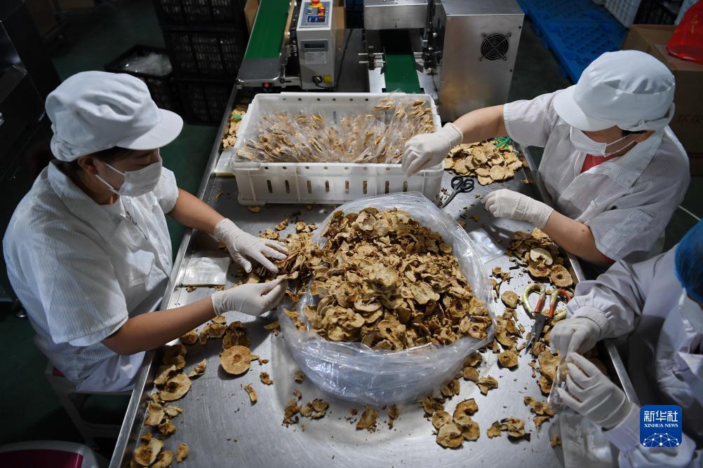 摇钱树曾道人高手论坛